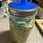 sauerkraut-dill
